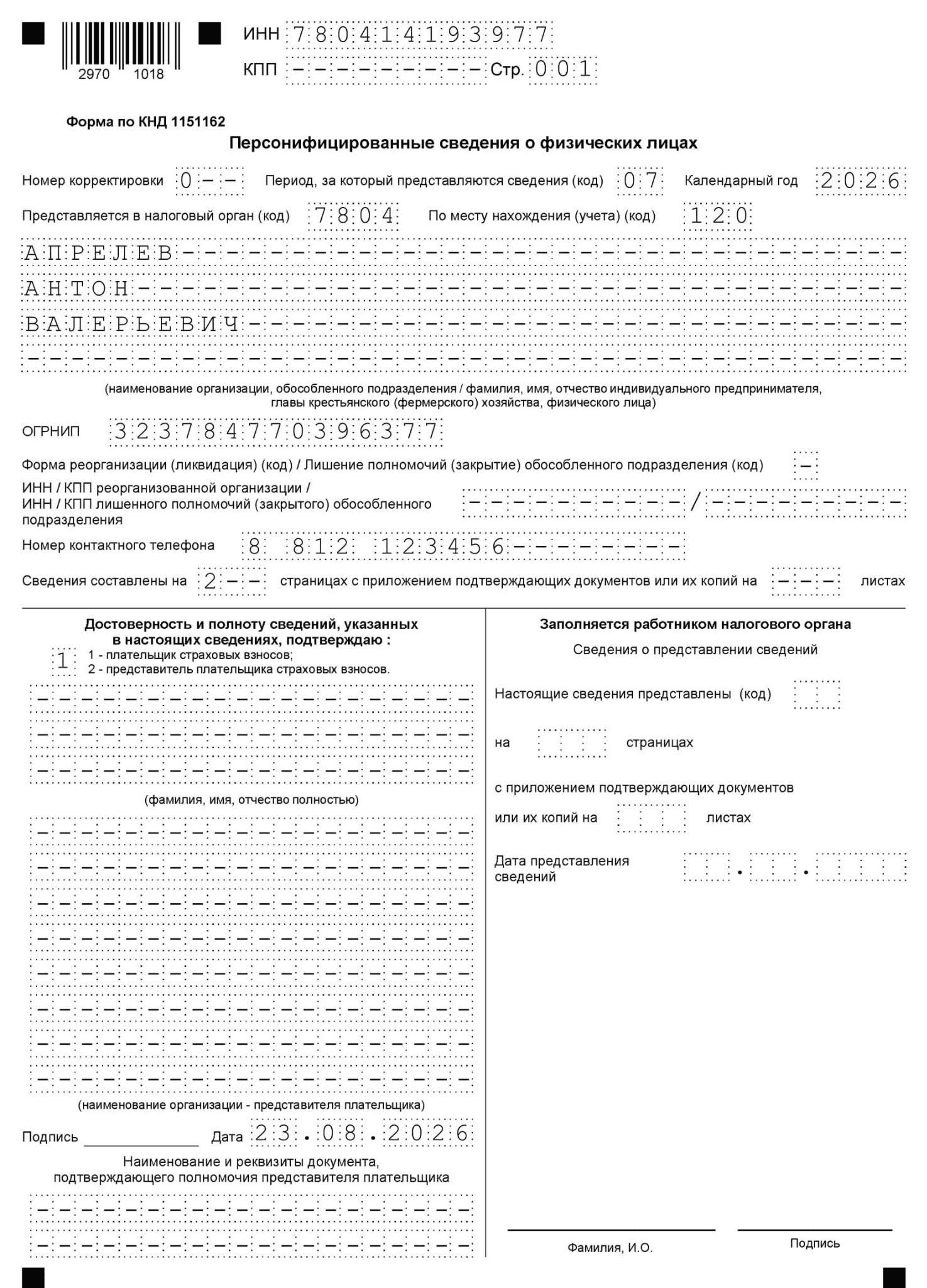 Пример заполнения титульного листа отчета о персонифицированных сведениях